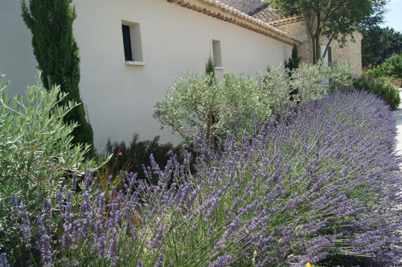 Gîtes dans Mas en pierres Robion Extérieur photo